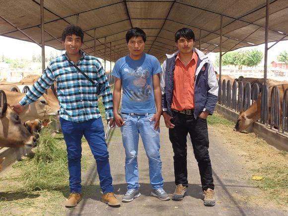 PRACTICAS