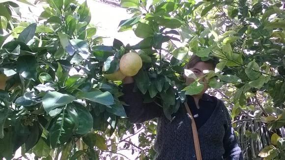 www.agriperia.com