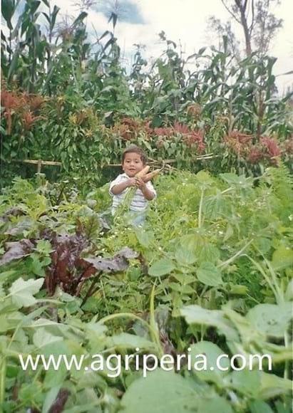www.agriperia.com