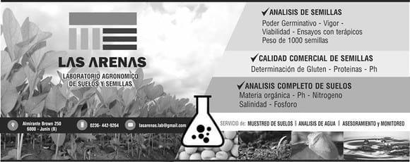 Servicios