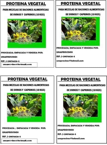 PROTEINA VEGETAL