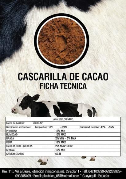 Ficha Técnica