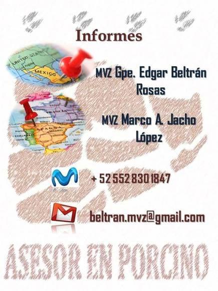 Informes