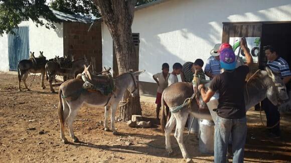 Transporte