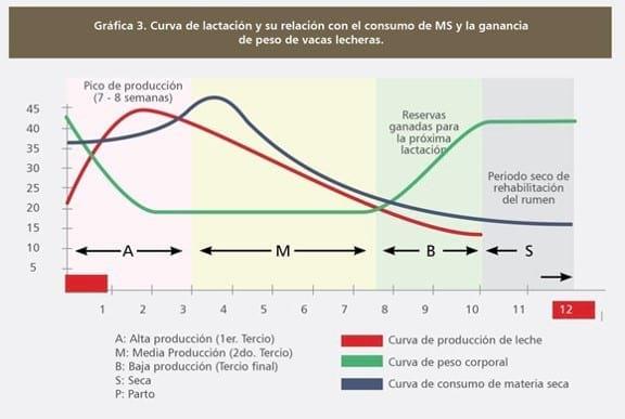 grafica, curva de lactacion con relacion al consumo de MS y la ganancia de peso en vacas lecheras