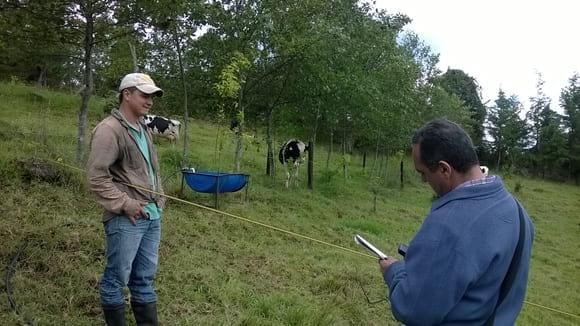 SSP de ramoneo y FBN Finca las golondrinas. UNAD CEAD MEDELLIN