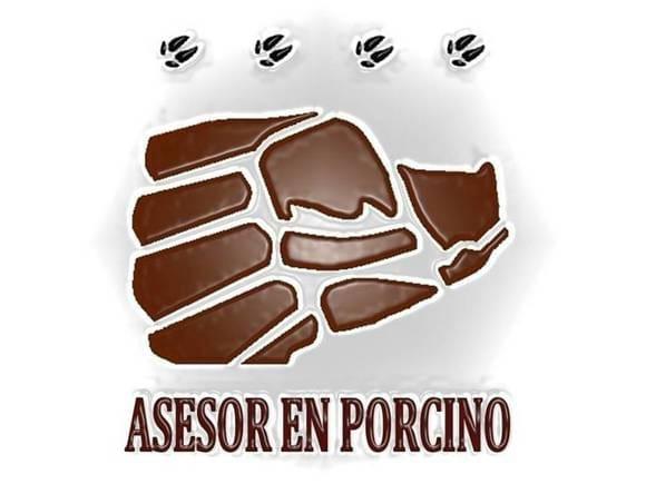 Asesor en Porcino