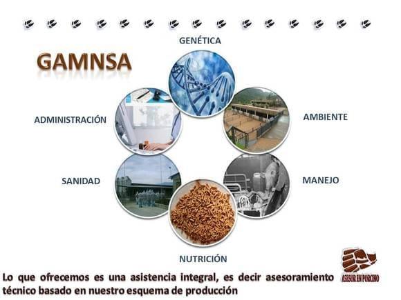 Esquema de Trabajo