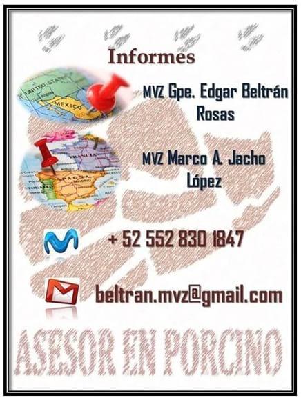 Informes