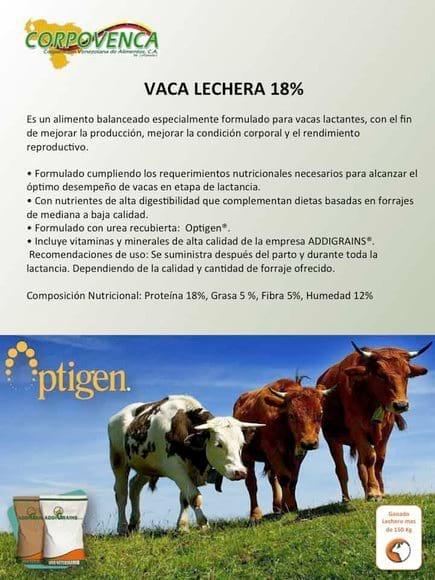 Alimento Lechero 18%