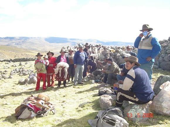 Prevencion de Enterotoxemia y Coccidiosis en Alpacas y Llamas