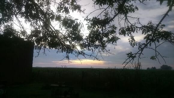 Temprano en el campo