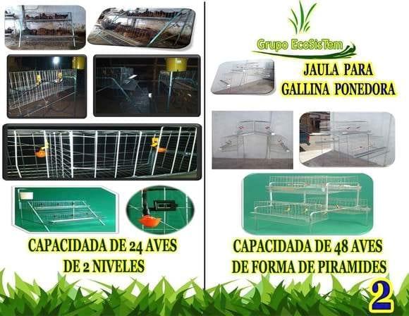 Jaulas para gallinas ponedoras