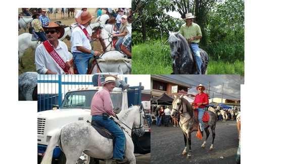 Cabalgando en mis caballos en diferentes actividades