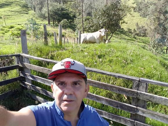 Charolais en trópico alto