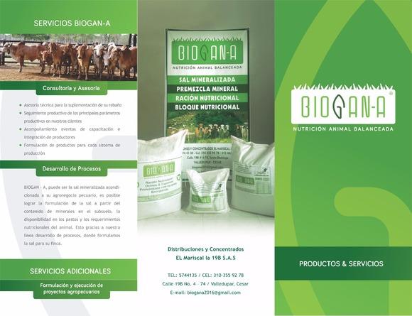 BROCHURE 2