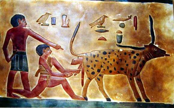 Valle de los Reyes- Egypto