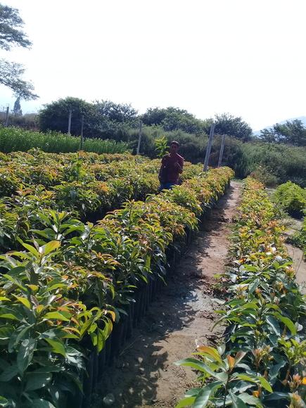 www.agriperia.com
