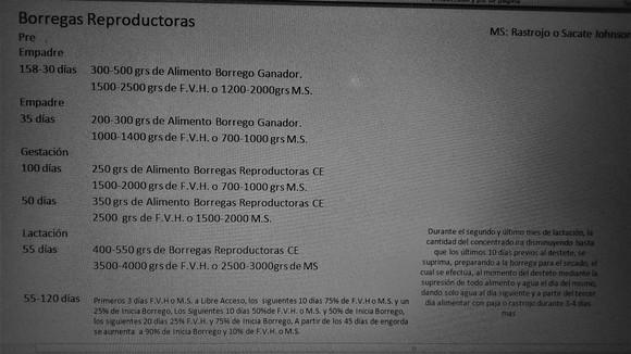 cantidades de alimento