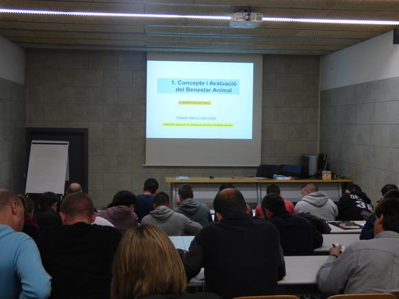 Curso de Bienestar Animal en Granjas Porcinas. Catalunya