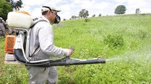 Controles de plagas y enfermedades