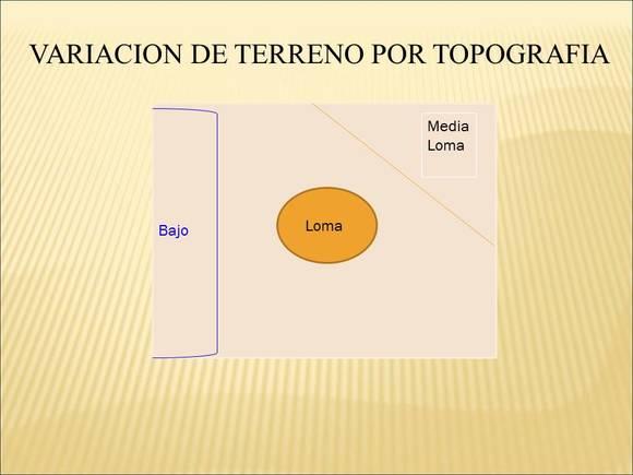 TOMA DE  MUESTRA