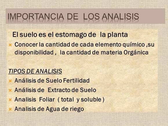 IMPORTANCIA DE LOS ANALISIS