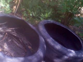 cultivo en el hogar