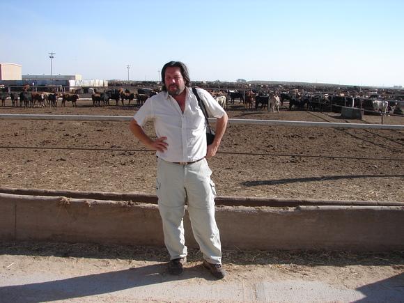 FEEDLOT 100.000 CABEZAS - TEXAS
