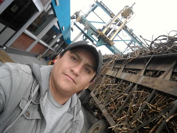 Sistema de sonda oblicua para determinar limpieza de caña