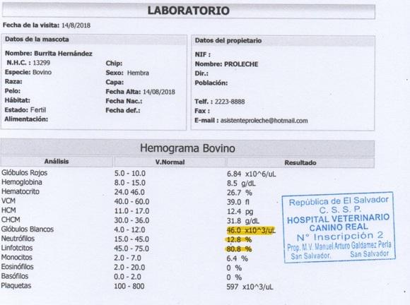 Hemograma