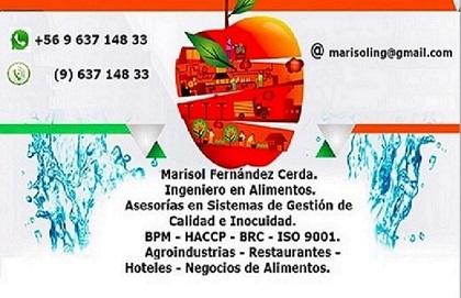 Asesorias