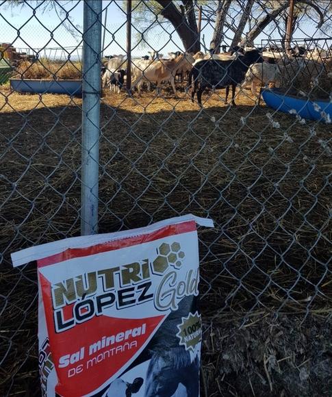 NUTRILÓPEZ EN OVINOS