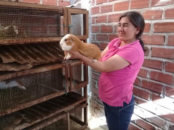 www.agriperia.com