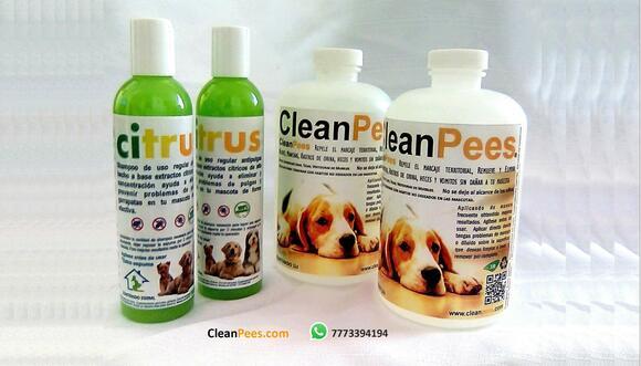 Nuestros productos
