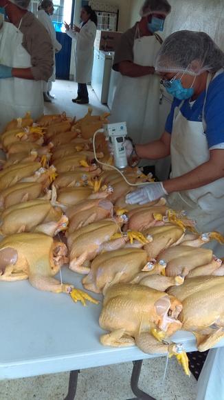Evaluación de pigmentación