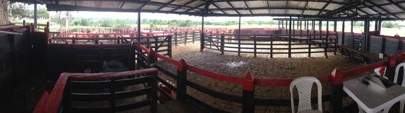 corral etologico