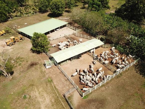 Casanare
