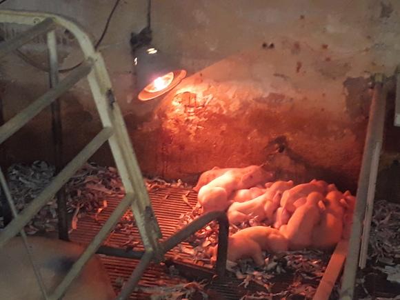 Termoregulacion - Sensación de frio en sala de parto.