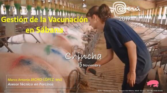 Vacunación en sabana