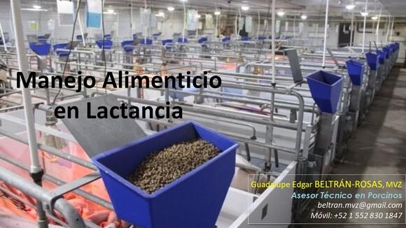 Ponencia: Manejo Alimenticio en Lactancias