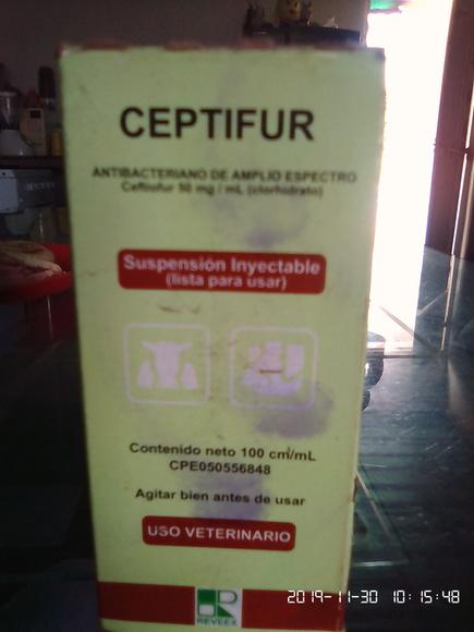 Dosis para cerda recién parida