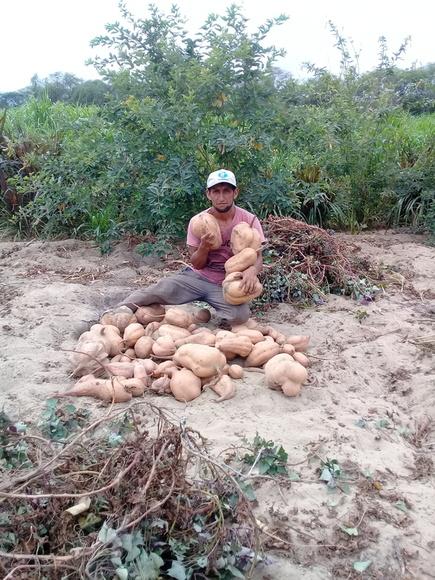 www.agriperia.com