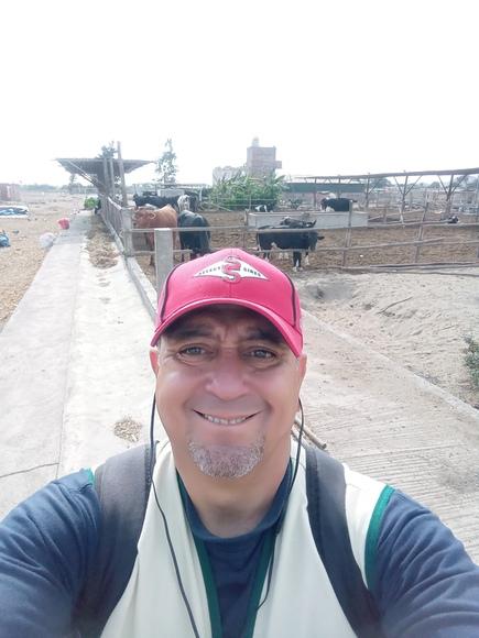 Asistencia Técnica Pro compite