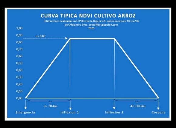 Curva típica NDVI Cultivo Arroz