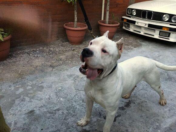caronte :D