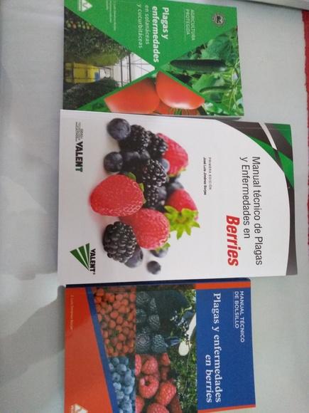 Plagas y enfermedades en berries (media carta y bolsillo) plagas y enfermedades en solanaceas y cucurbitaceas (bolsillo)
