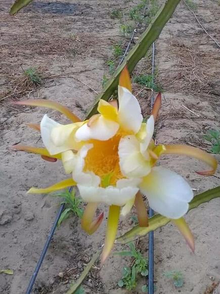 www.agriperia.com