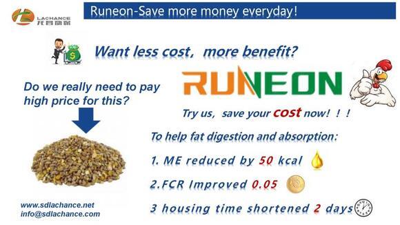 bile acids saving the cost form the poultry feed