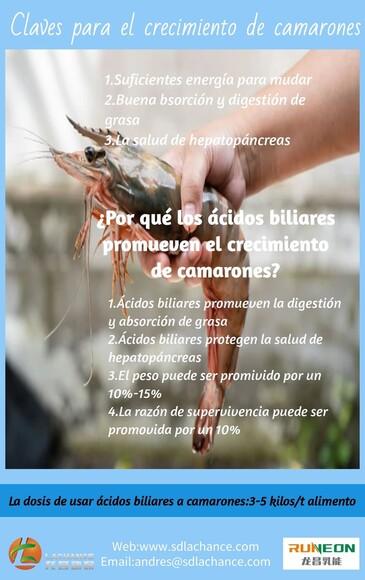 Claves para el crecimiento de camarones